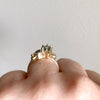 Le Jardin Posy Ring- Australian Sapphires 14k Recycled Gold